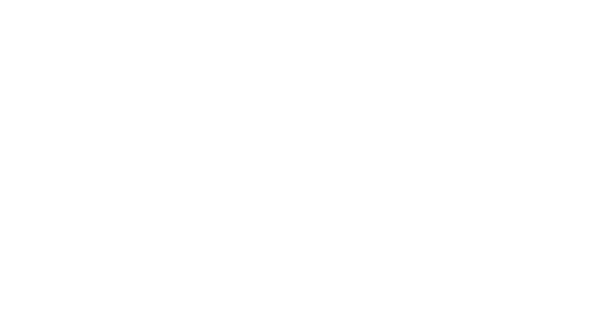 bündnis 90 die grünen