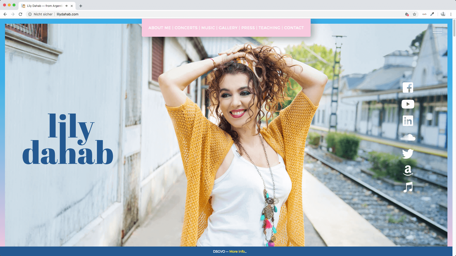 webdesign und seo-optimierung für lily dahab —  design agentur dresden
